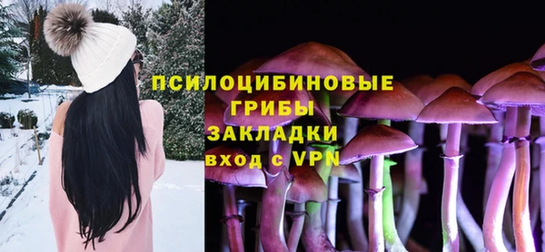 бошки Алексин