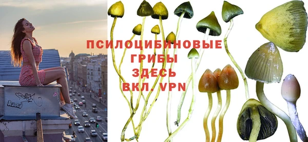 каннабис Алзамай